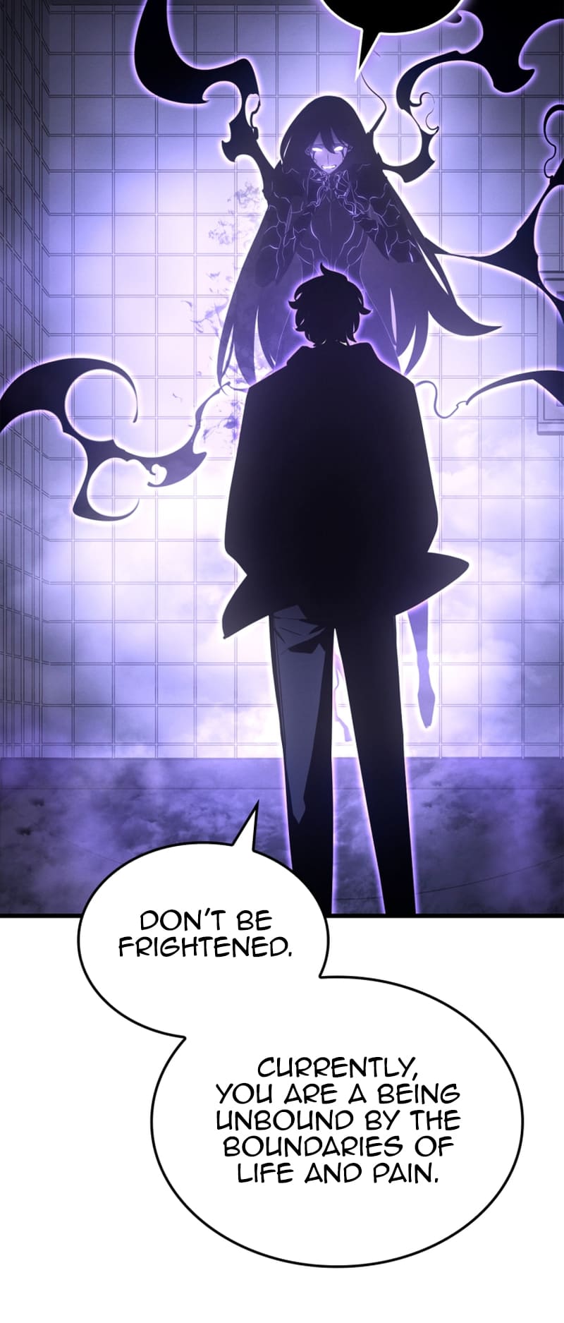 Solo Leveling, Chapter 190 image 047